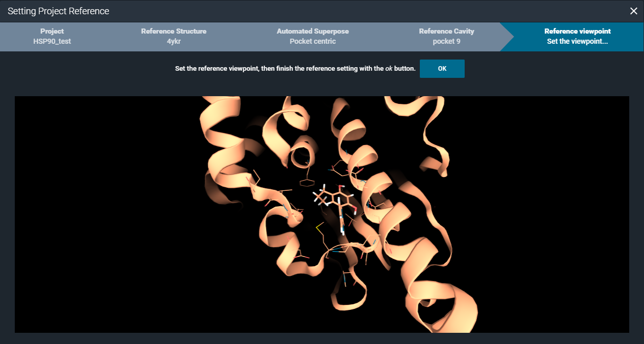 15.setting_viewpoint_pocket_project.png